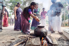 pongal-celebration-2